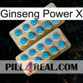 Ginseng Power X new08